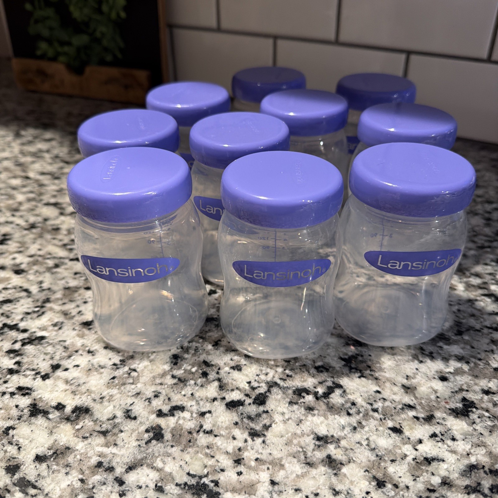 Lansinoh mOmma Feeding Bottle  5 floz 10 ct