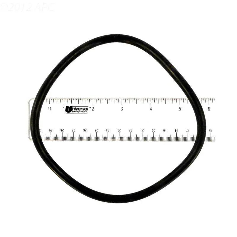 Lid O-Ring