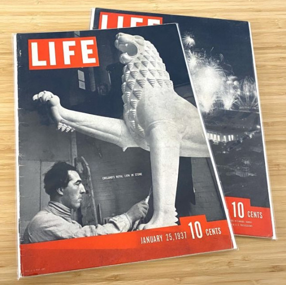 BCW (New) Life Magazine (50)ct Pack - Magazine Boards & Resealable Bags Set