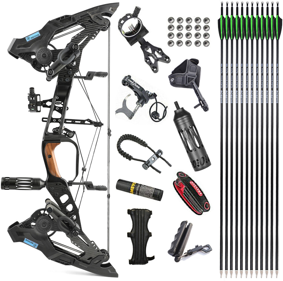 Compound Bow Set Steel Ball Arrows Hunting 21.5lbs-60lbs Dual-use Archery Target