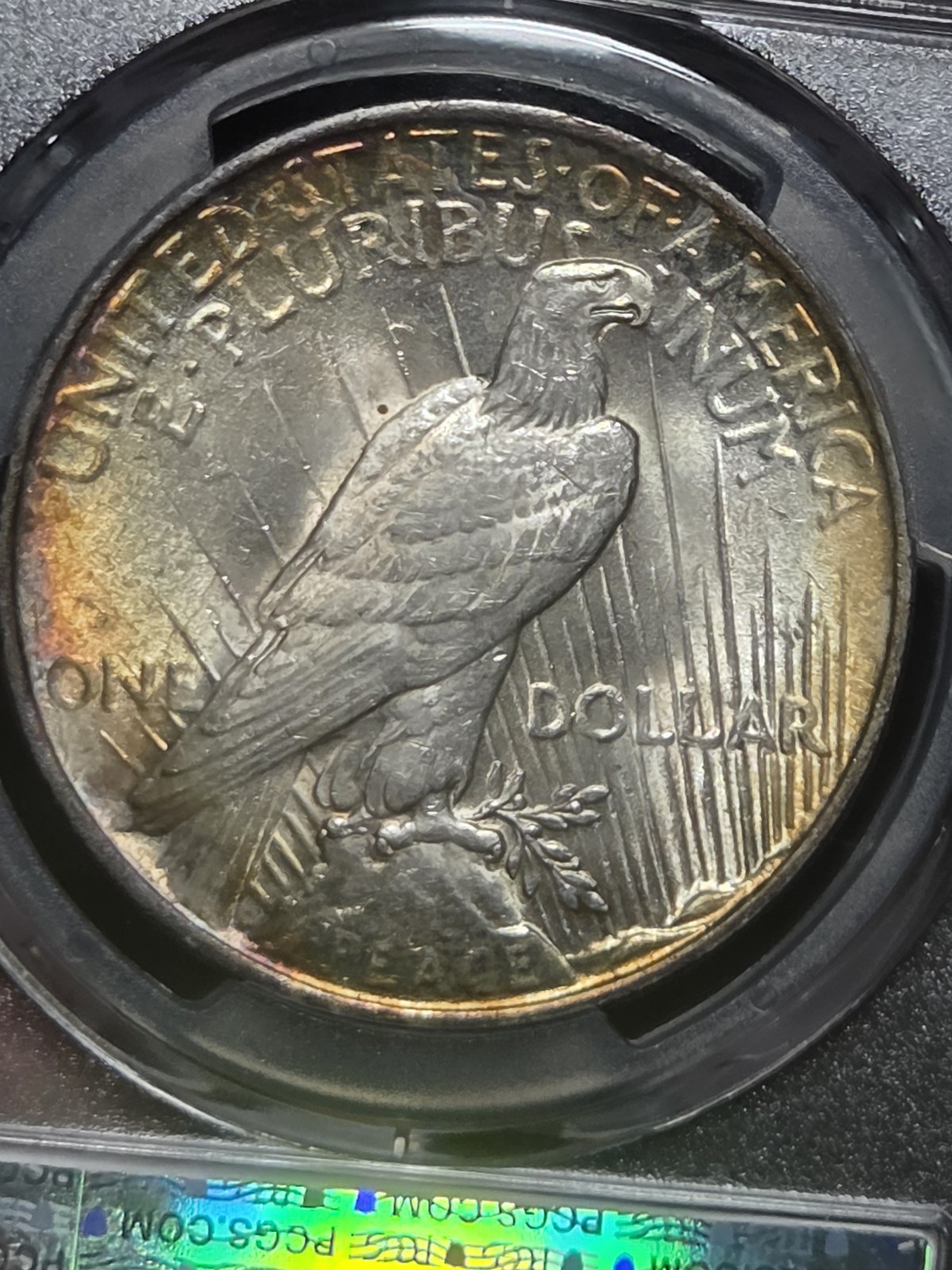 1922 $1 Peace Dollar PCGS MS63 Toned