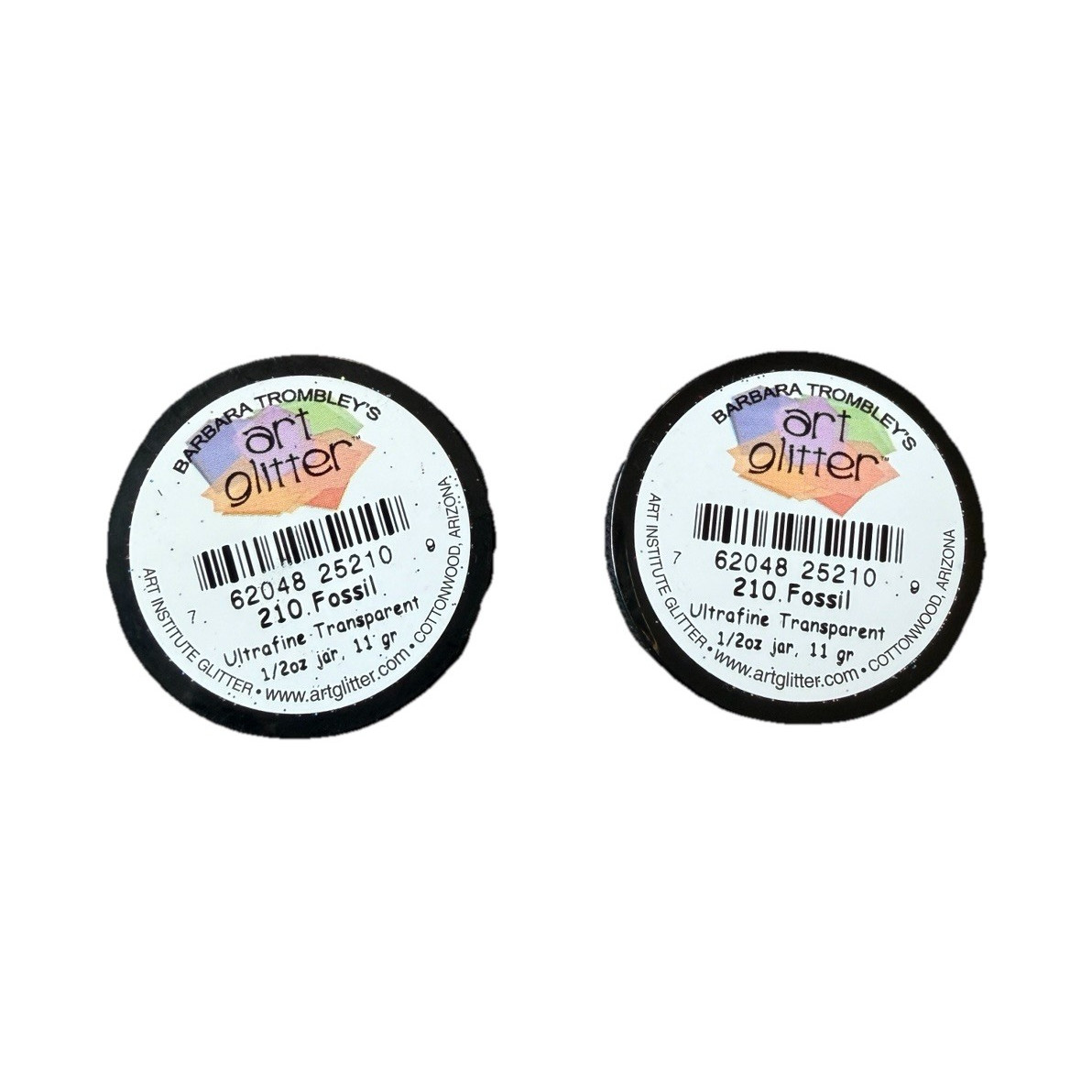Art institute glitter 210 Fossil ultra fine transparent Barbra Trombley set of 2