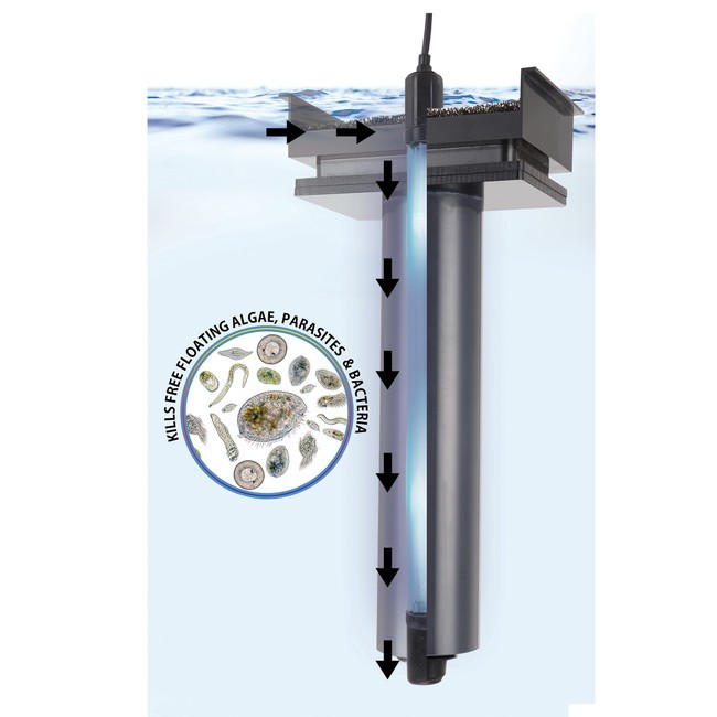 AuqaShield 11 Watt UV Sterilizer/Clarifier (Midsize) - Innovative Marine