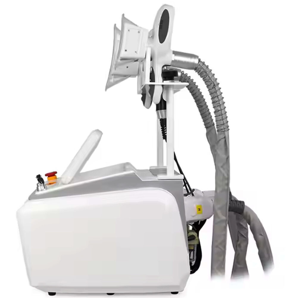 Cryolipolyse Slimming Machine Portable For Home Use Slimming machine