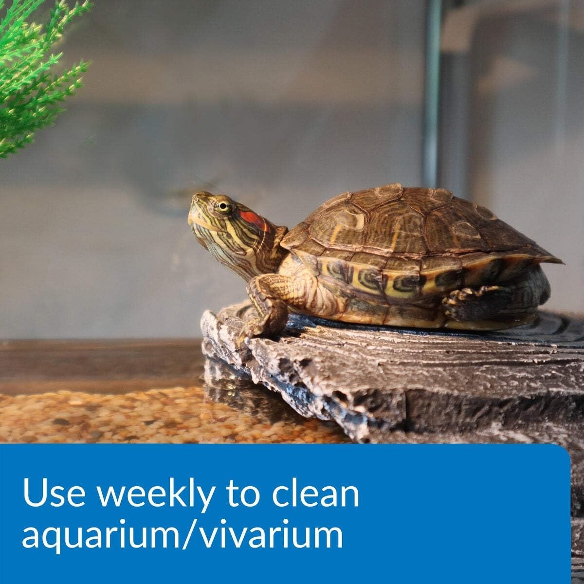 API TURTLE SLUDGE DESTROYER Aquarium Cleaner and Sludge Remover 8-Ounce