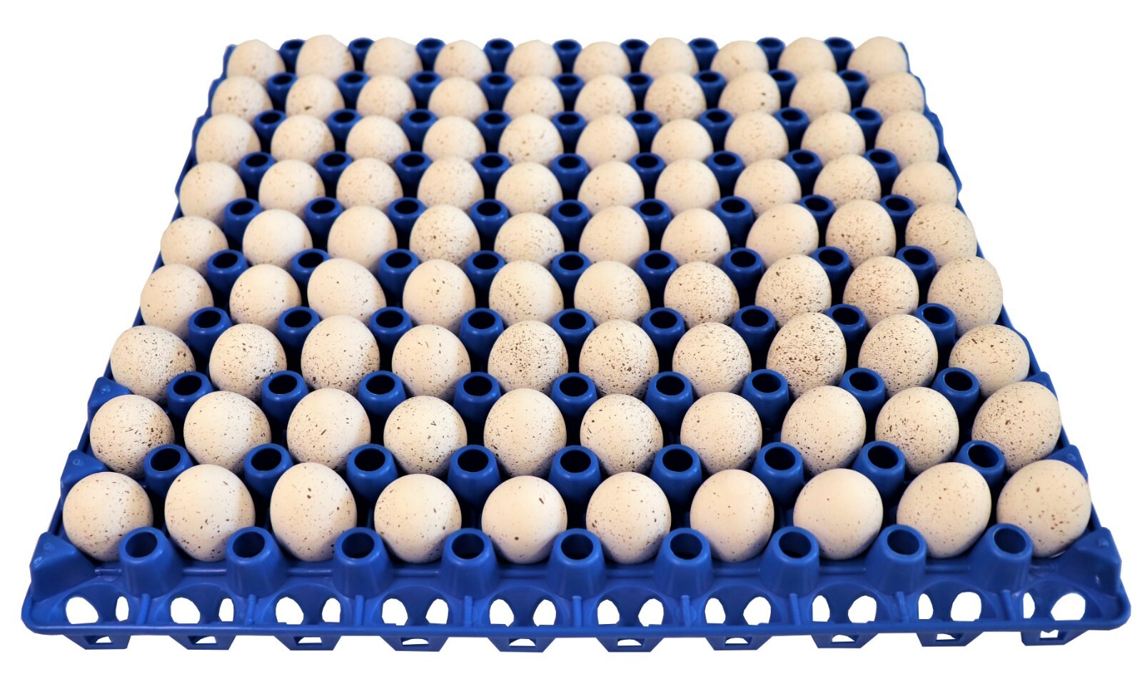 96 RITE FARM PRODUCTS 90 EGG PLASTIC TRAYS QUAIL PIGEON DOVE BIRD FLAT CARTON