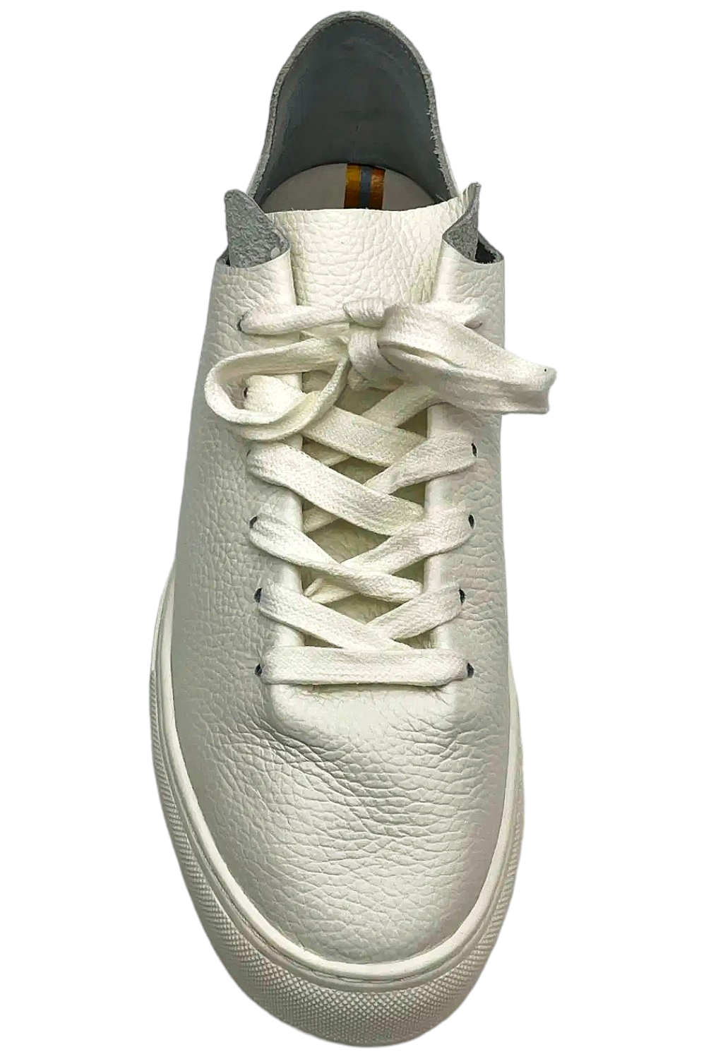 Sam Edelman Women's Poppy Sneaker White