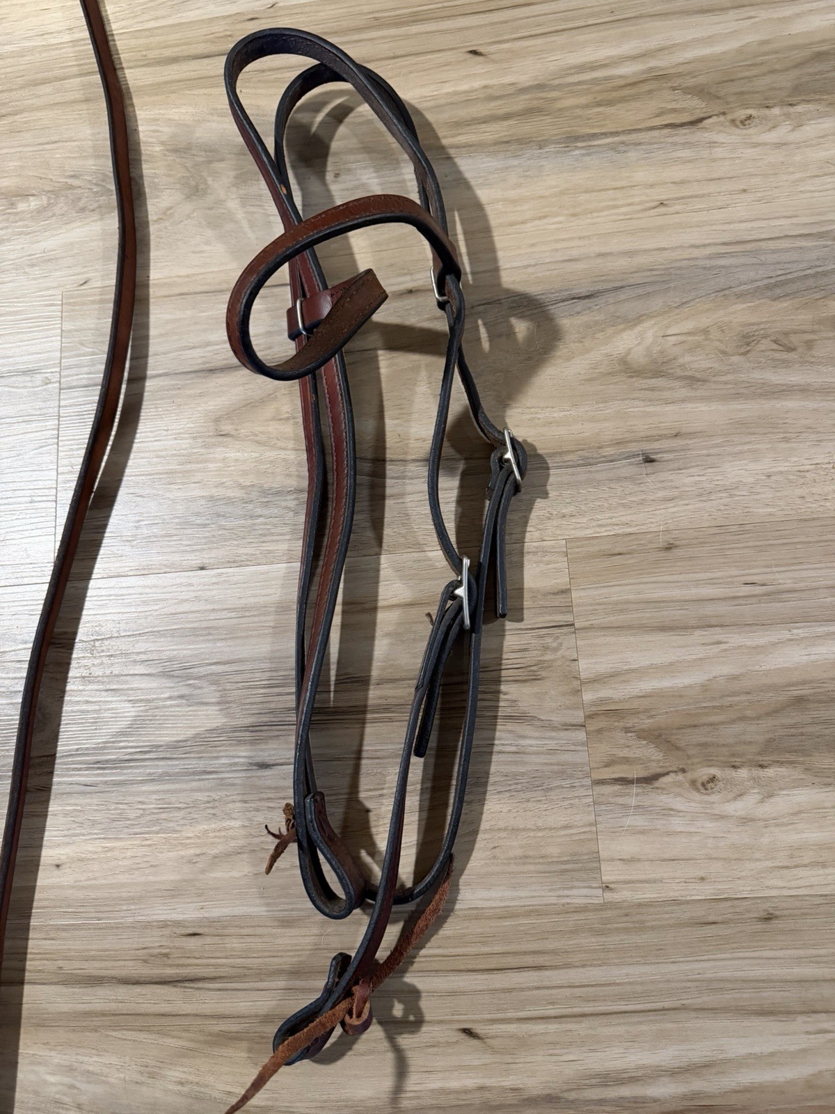 Western Horse Tack Lot - Circle Y Reins, Head stall, Other Reins