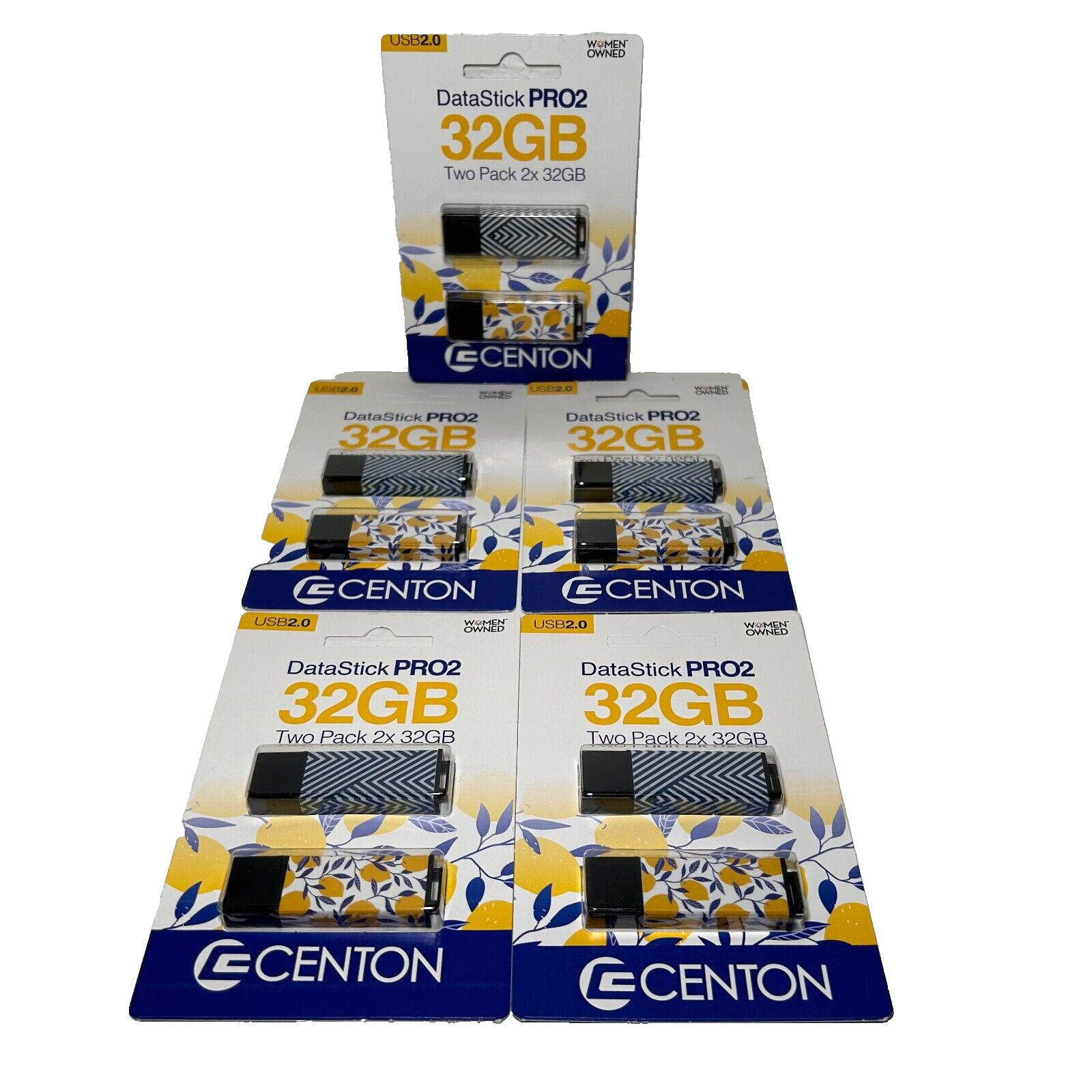 10 Total Drives 5x Centon USB 2.0 Datastick Pro2 Two Pack 32GB Multi color