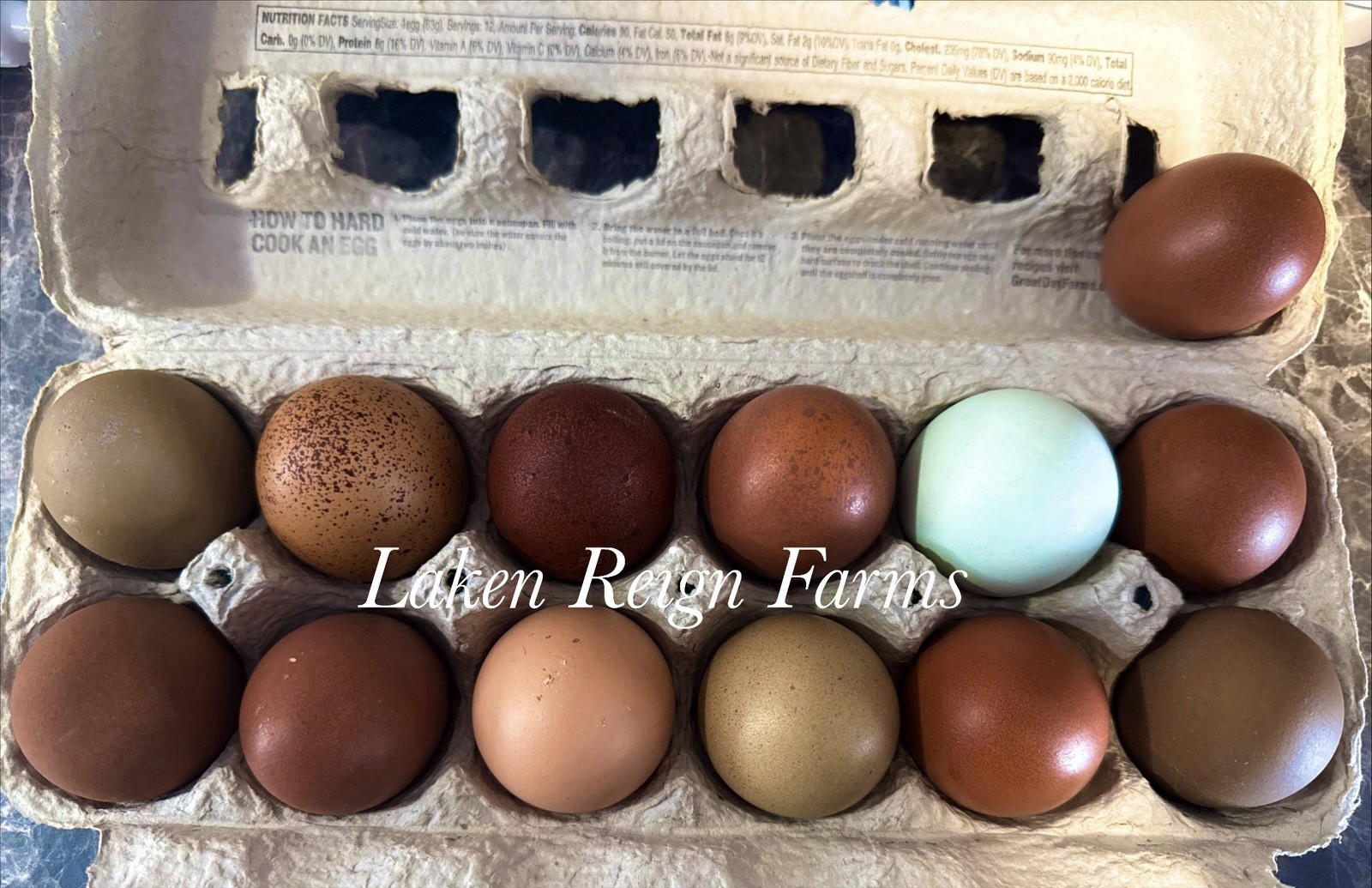 12 Rainbow Hatching Eggs Blooms, Speckles, NPIP/AI