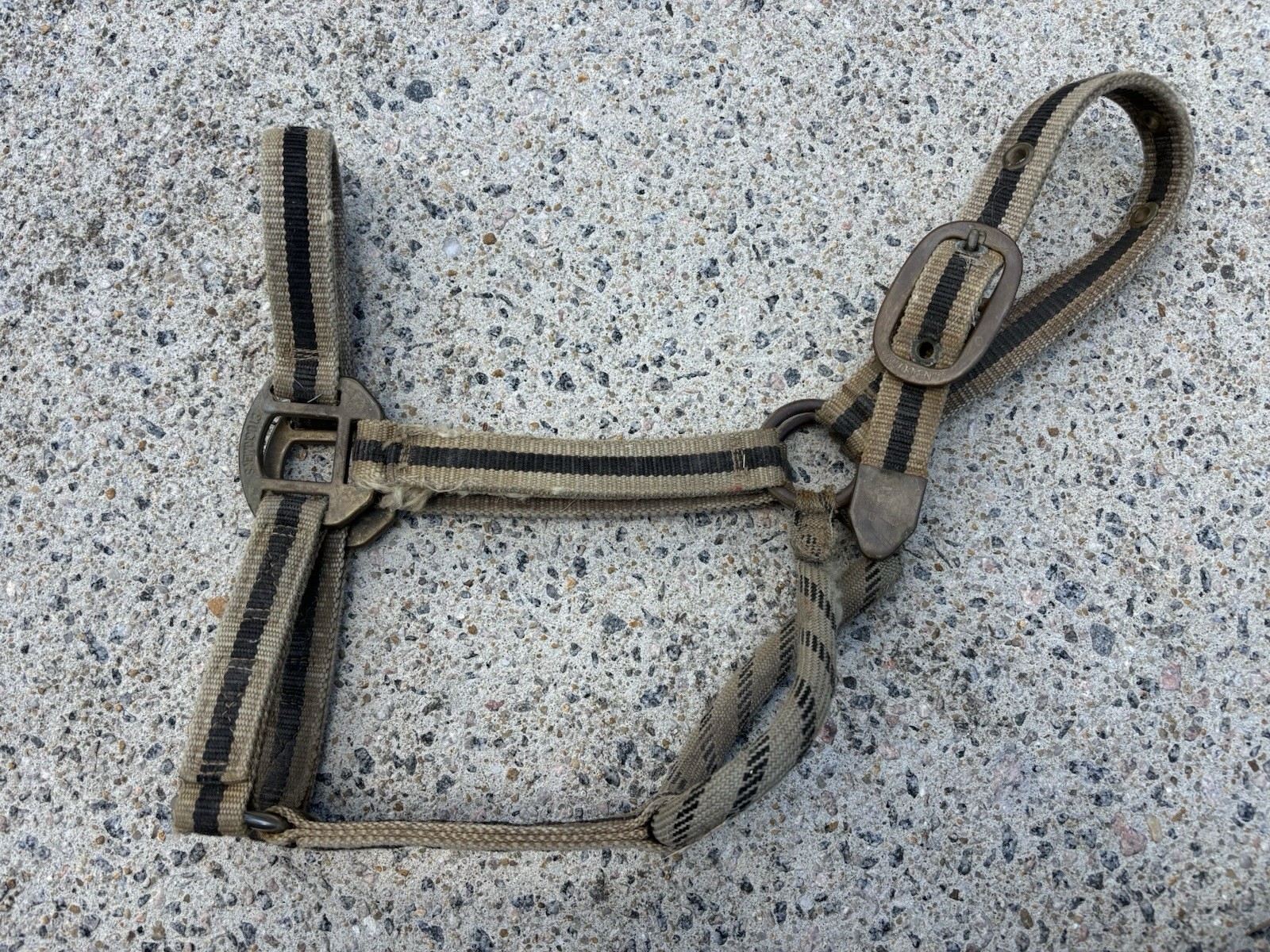 Stockman’s USED Nylon Halter - Estimated Small Horse/Cob Size
