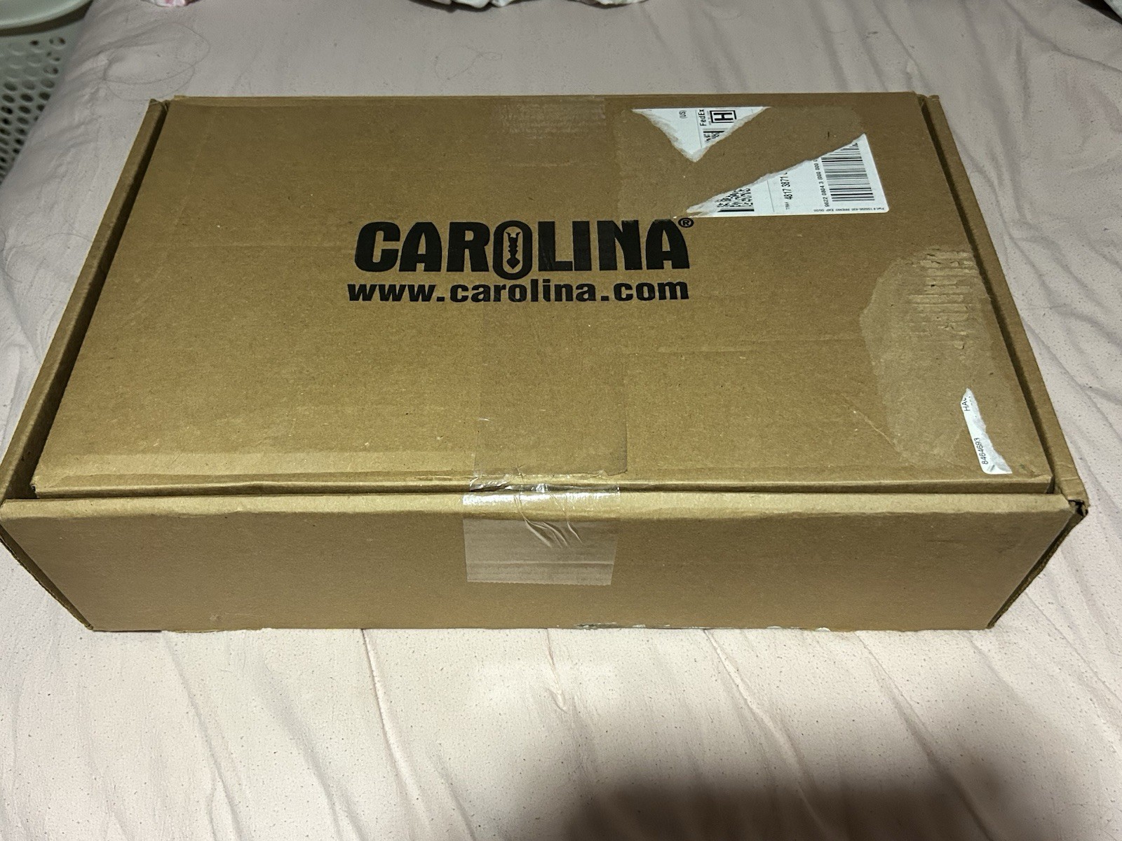 BRAND NEW Carolina Environmental Science Kit READY TO SHIP