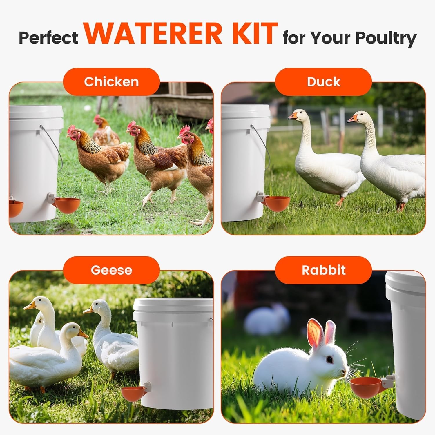 Effortless Chicken Hydration - 6 Leak-Proof Waterer Cups with Drill Bit, Orange
