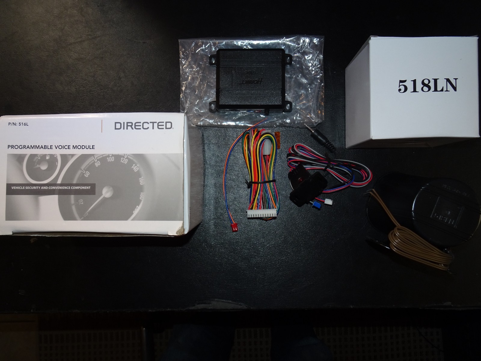 Directed 516L Programmable Voice Module w 518LN Replacement Speaker Complete Kit