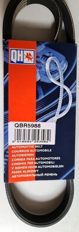 Single Belt for Motor BMW 3, 5 and 7 Series, Citroen Berlingo, Xsara, Fiat Fiori