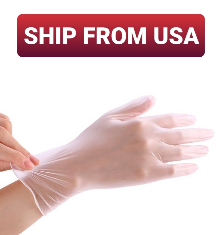 Large Vinyl Gloves Powder Free 1000 Count [VGLPF]