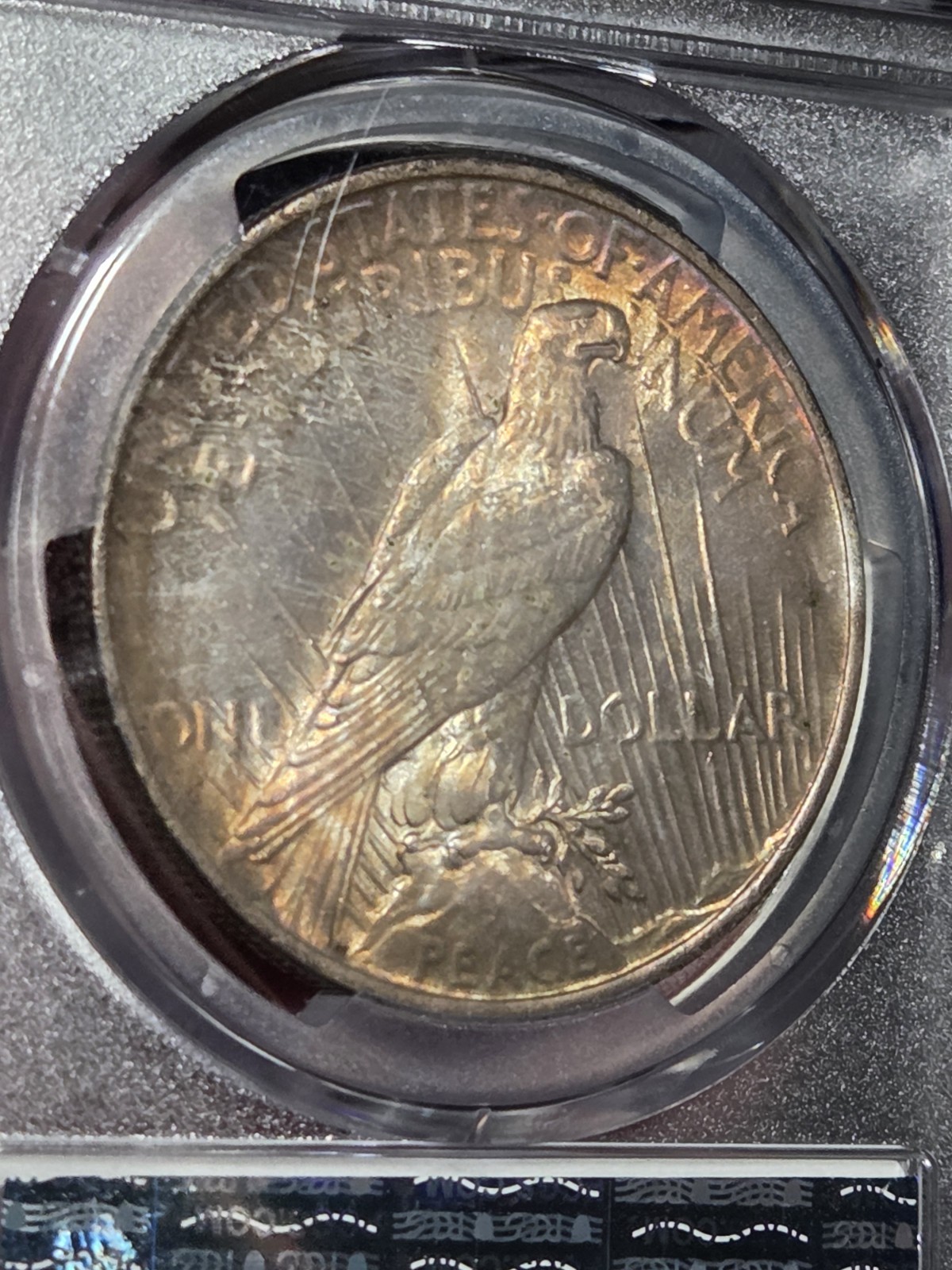 1924 $1 Peace Dollar PCGS MS64 Toned