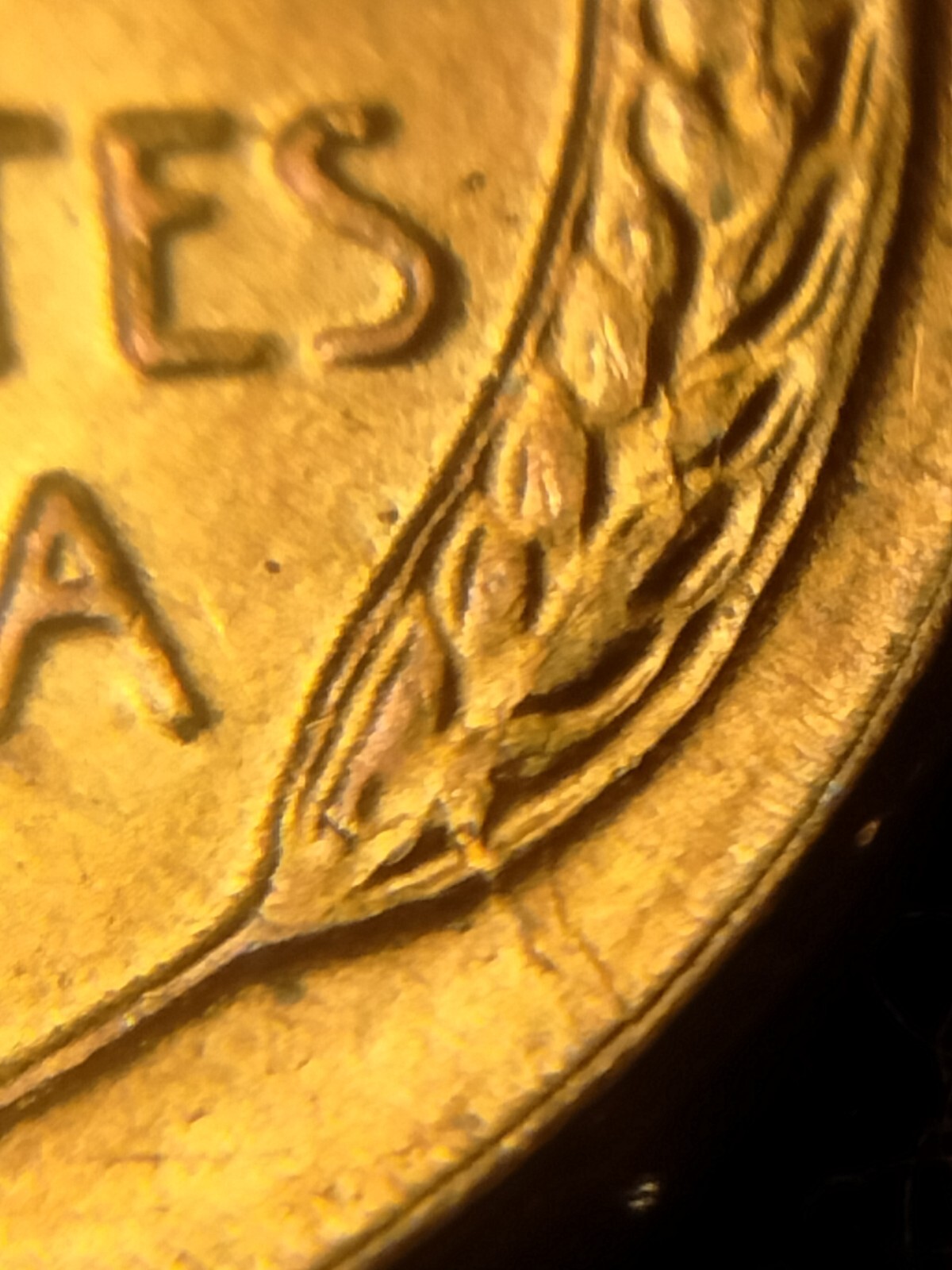 1956 P Lincoln Wheat Cent Retained Die Breaks Die Breaks