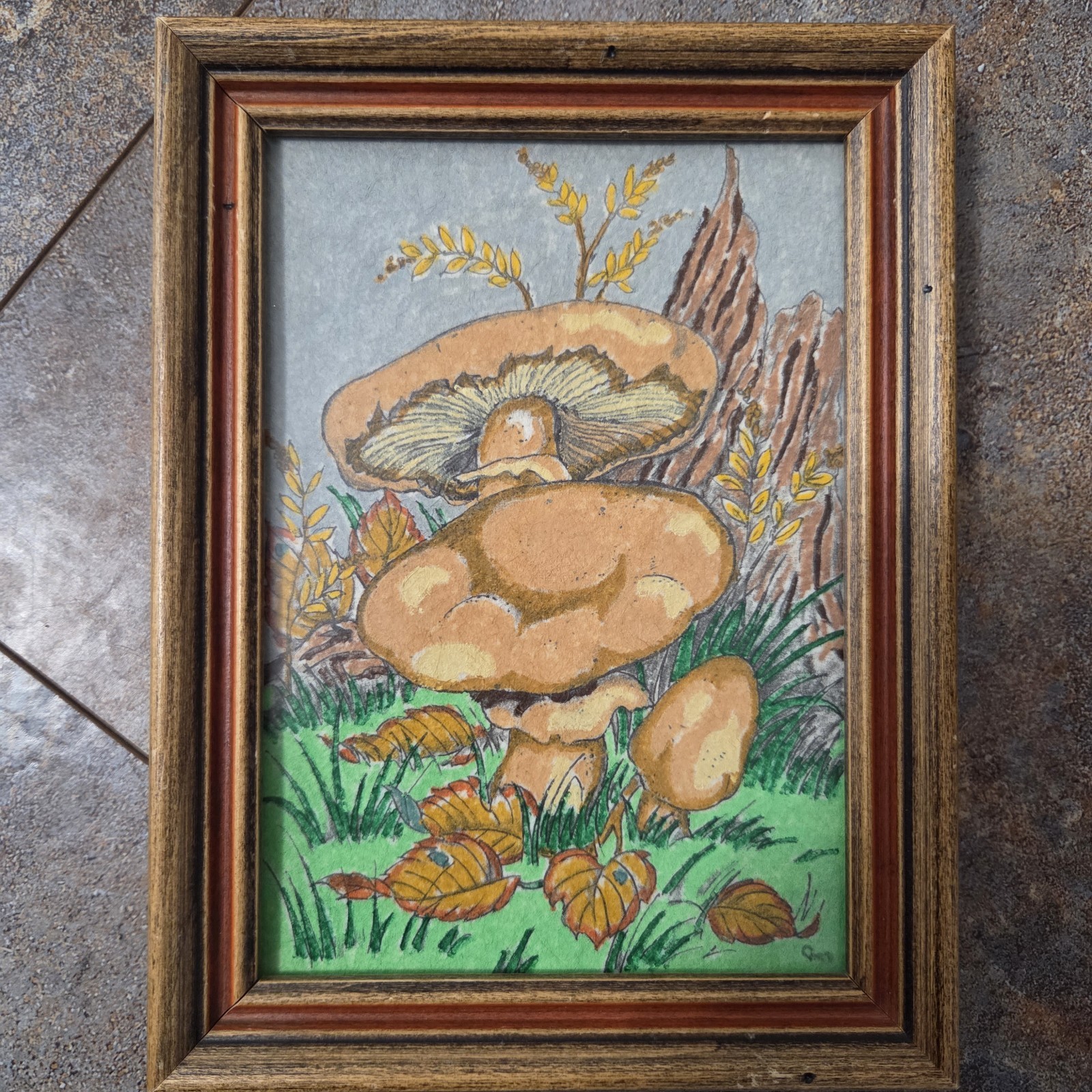 Retro 70’s  Vintage Frame Mushroom Wall Hanging Art 8"x6" Merry Mushroom Cottage