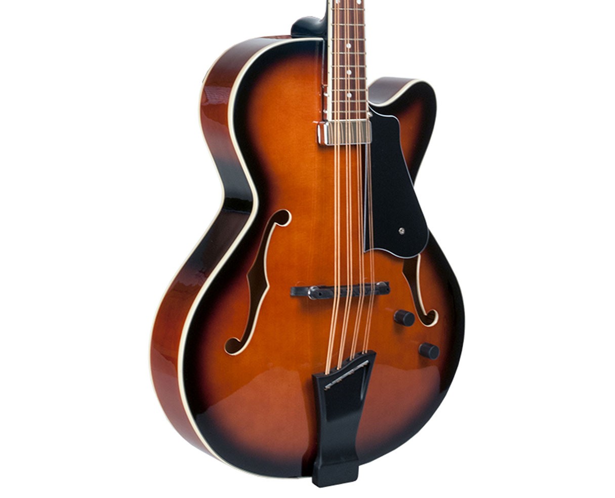 Gold Tone Mandocello
