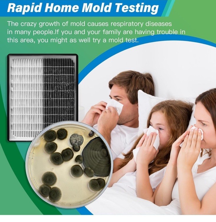 Mold Test Kit for Home - 12 Simple Detection Tests,Test HVAC System,Home Surf...