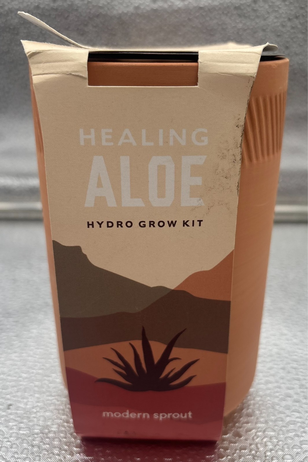 Modern Sprout Healing Aloe Succulent Seed Starter Hydro Grow Kit NEW