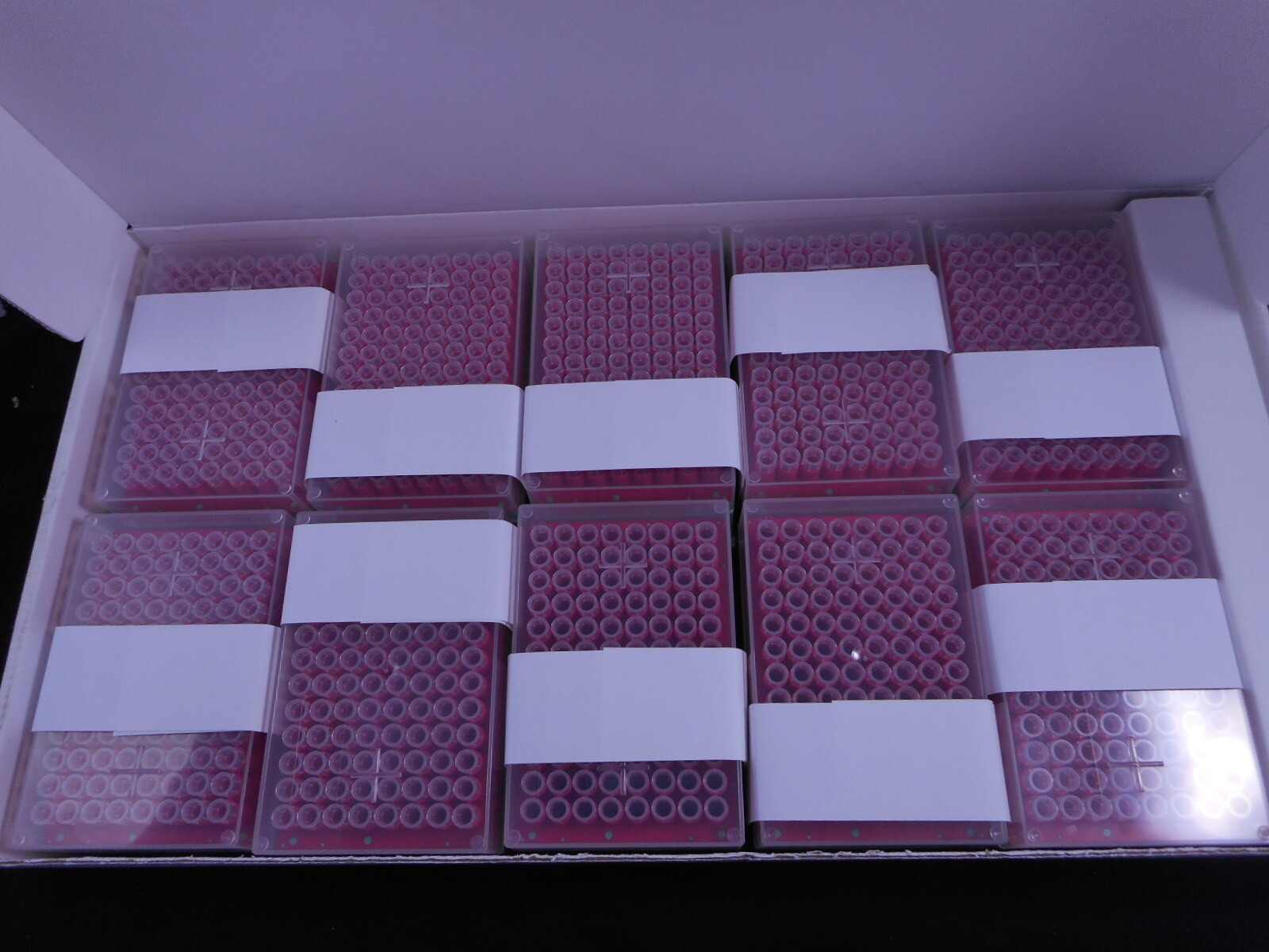 CYBIO CyBi Felix 96-250µL Racked Pipette TipBoxes PCR-Cert. Non-Sterile 960/Cs