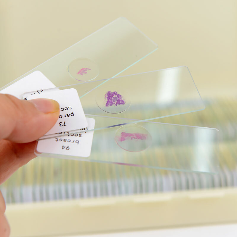100PCS Mammal Tissue Sections Histology Prepared Specimen Microscope Slides