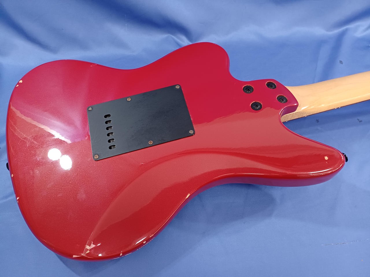 FERNANDES Electric Guitar-02