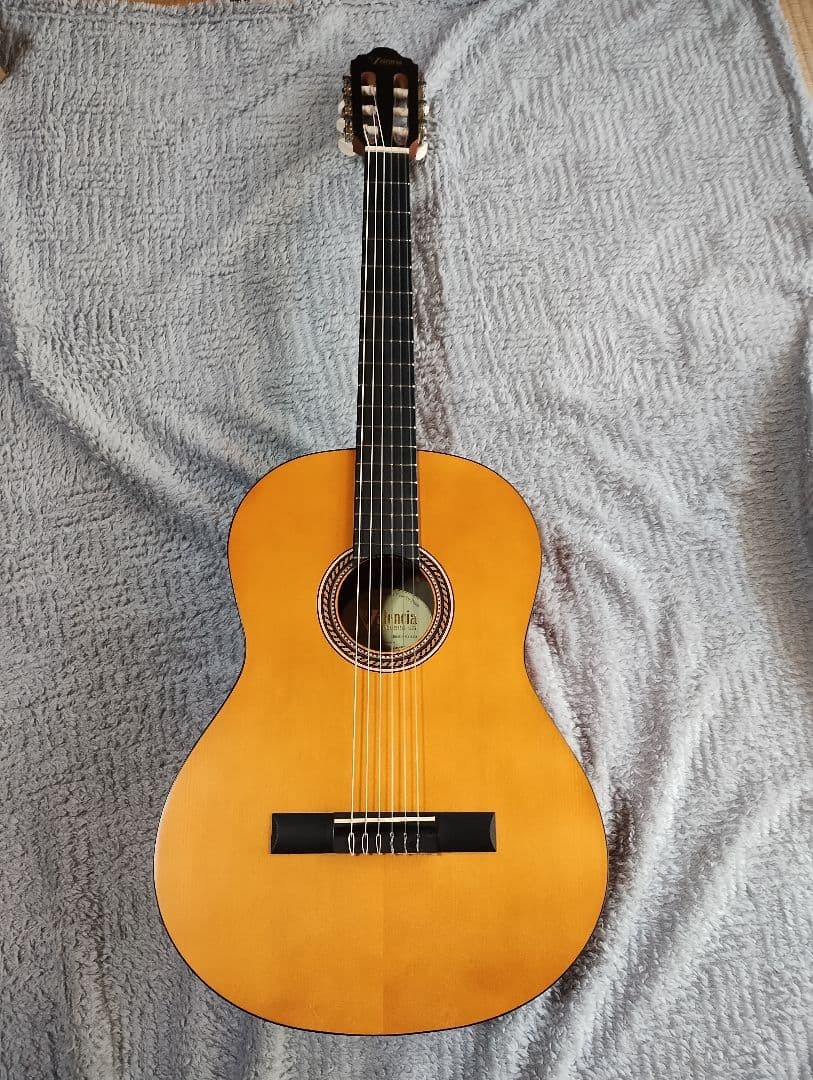 Valencia VCH Nylon String Guitarmm Nut Standard Size Near Mint