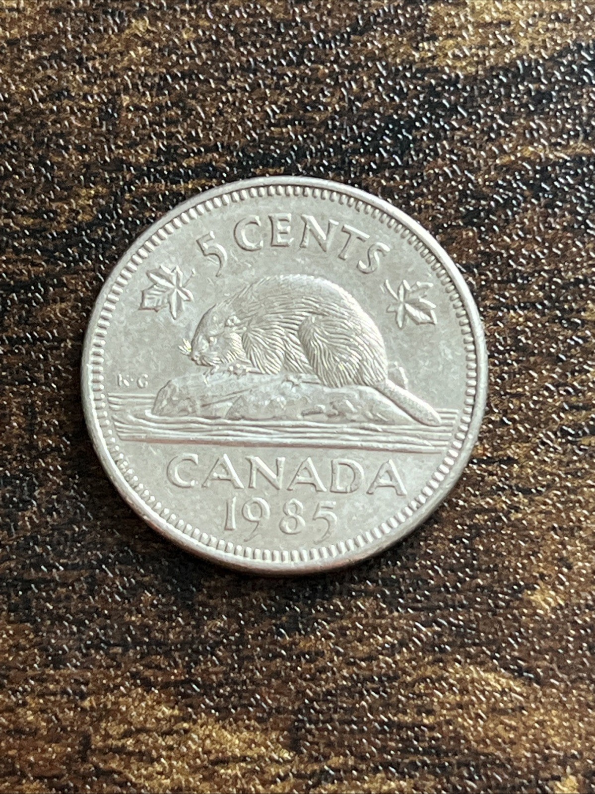 1985 Canada 5 Five Cents Actual Coin TB3197*