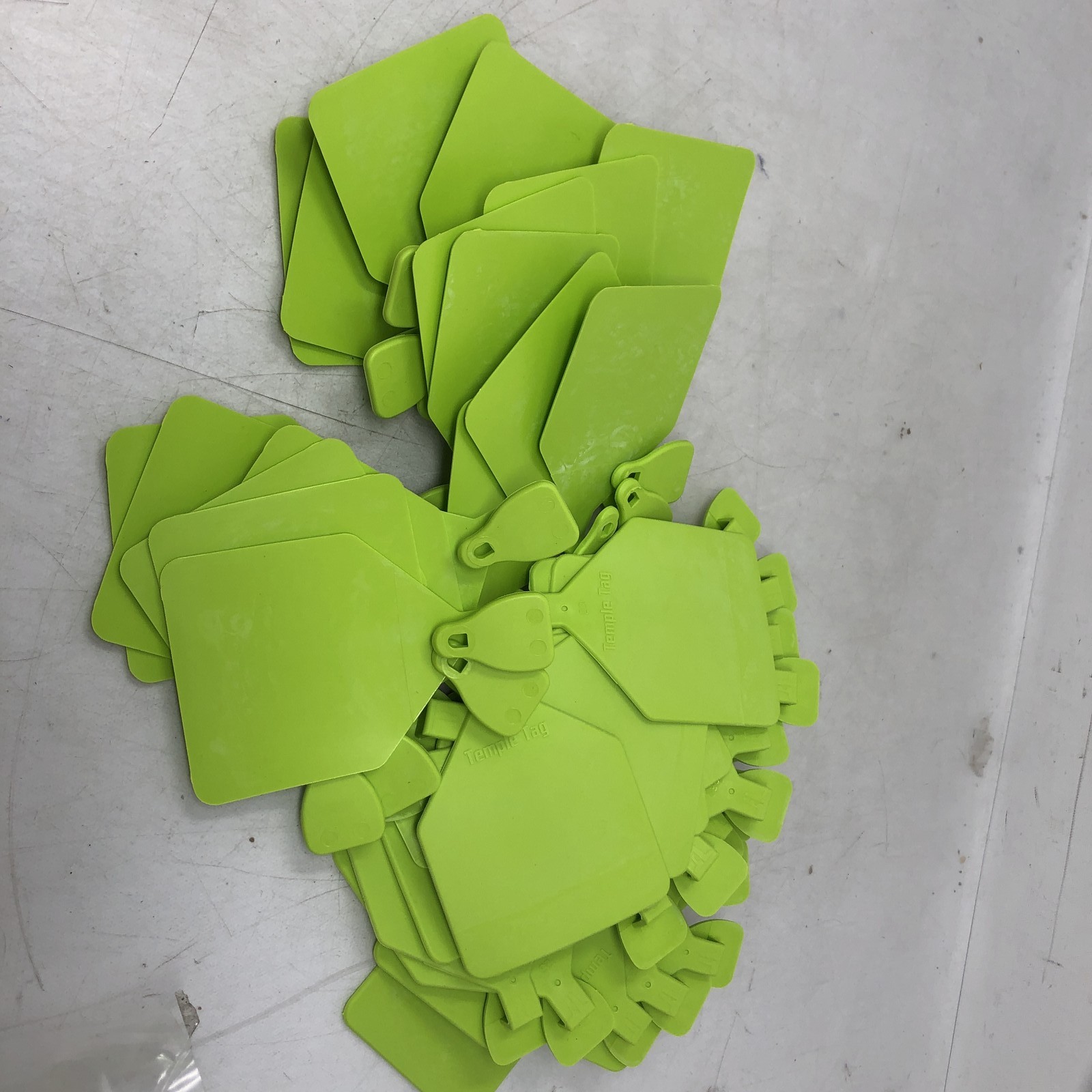 Temple Tag Feedlot Blank Cattle Ear Tags 50 Count Green