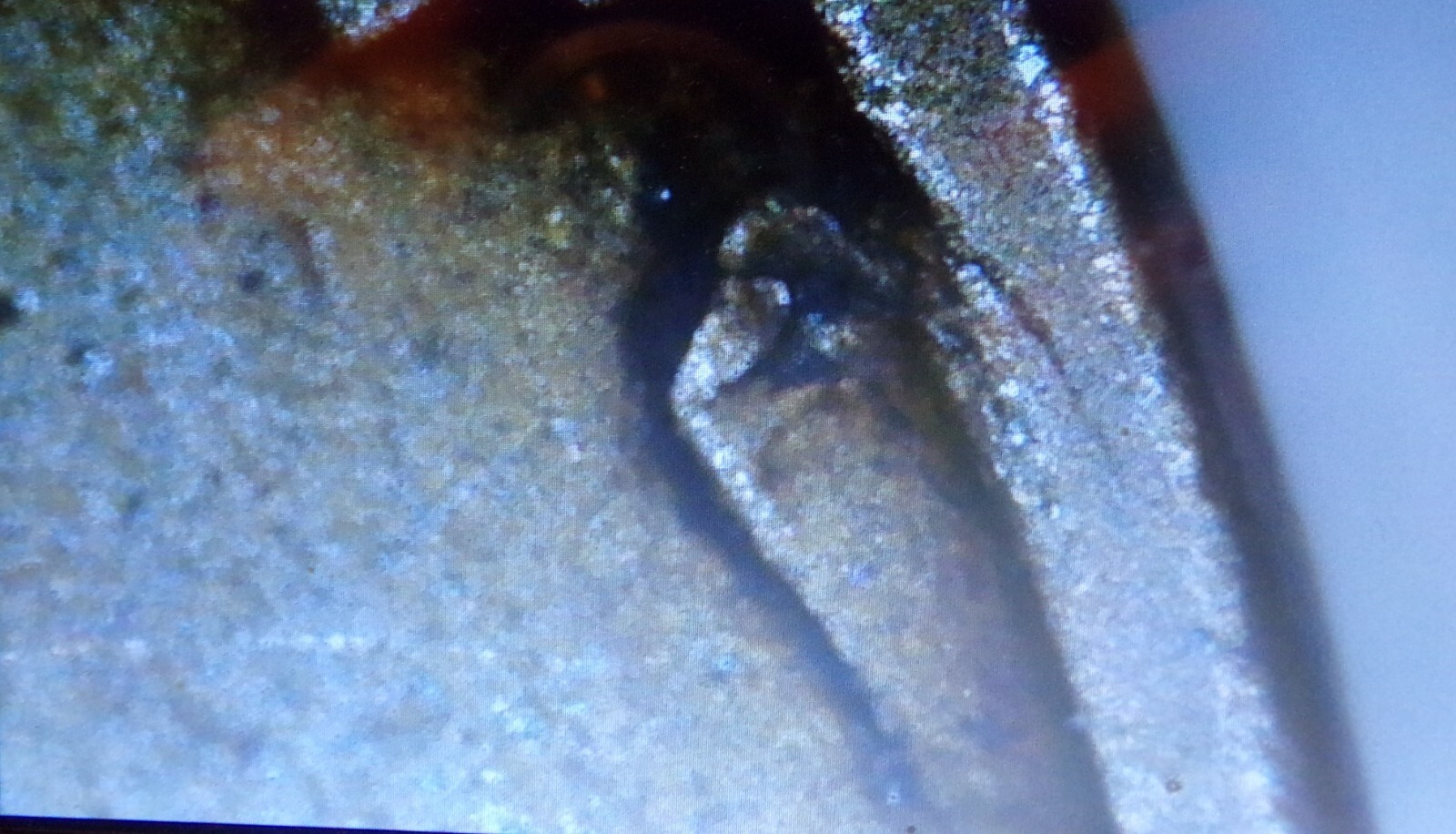 1937-D  LINCOLN WHEAT CENT  ERROR  PLANCHET (CRACK)  CIRCULATED