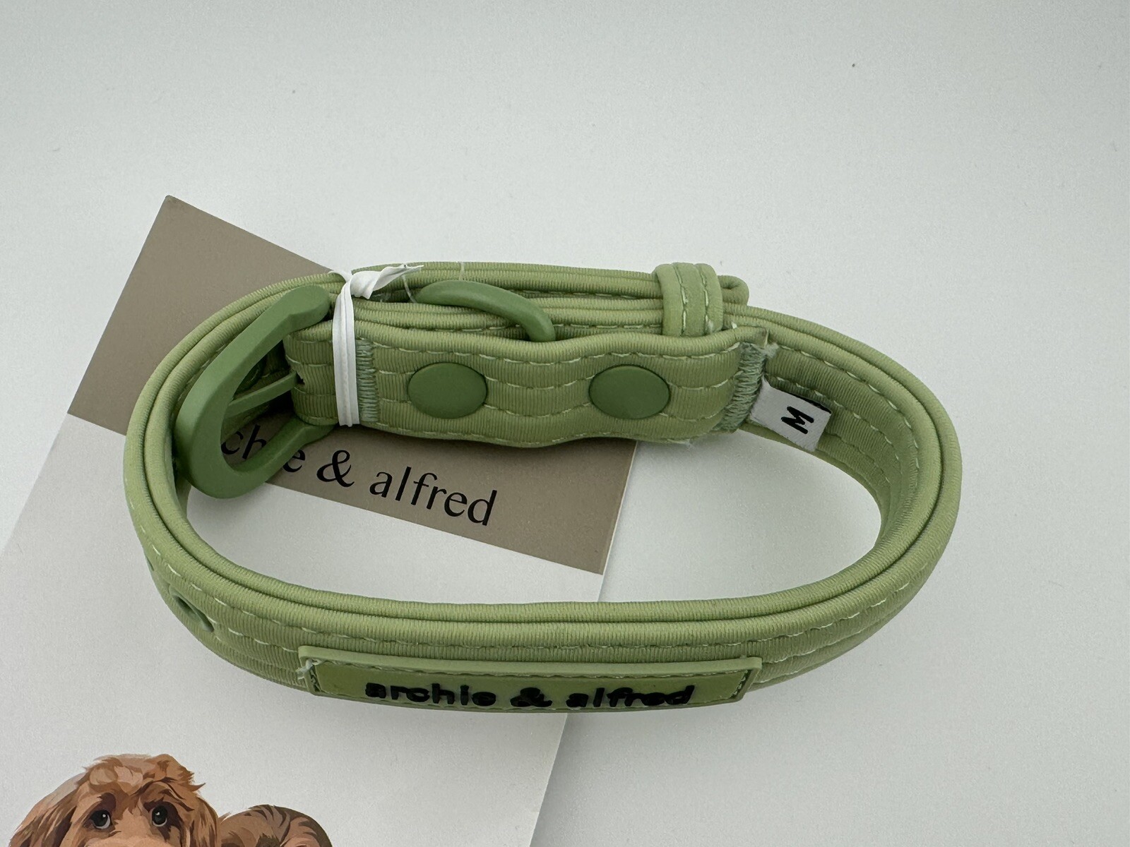 Archie & Alfred No Pull Adjustable Dog Harness And Matching Collar Medium Green