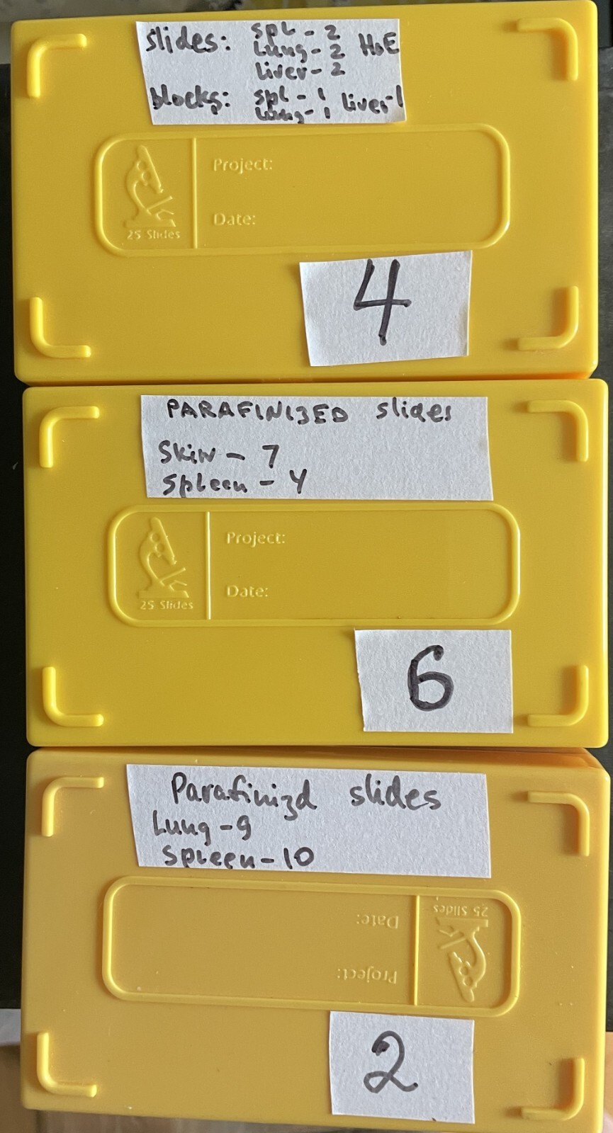Microscope storage boxes with mouse tissues slides