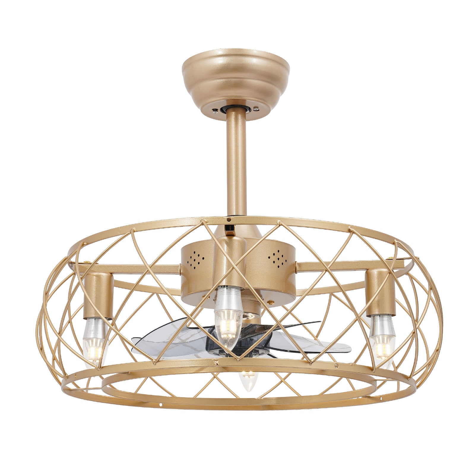 20 inch Caged Ceiling Fan Light Ceiling Mounted Light 3 Speeds Remote Control