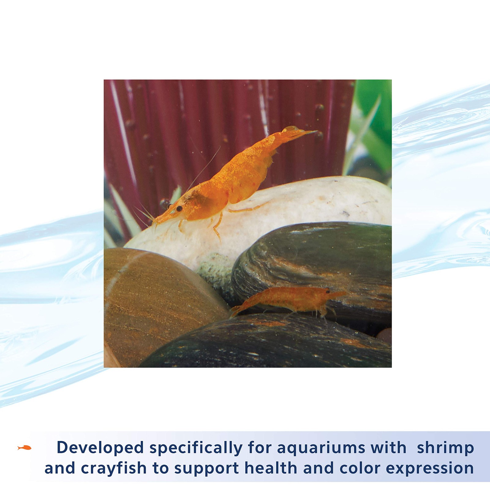 Aqueon Shrimp Tank Plus 4 Fluid Ounces 4