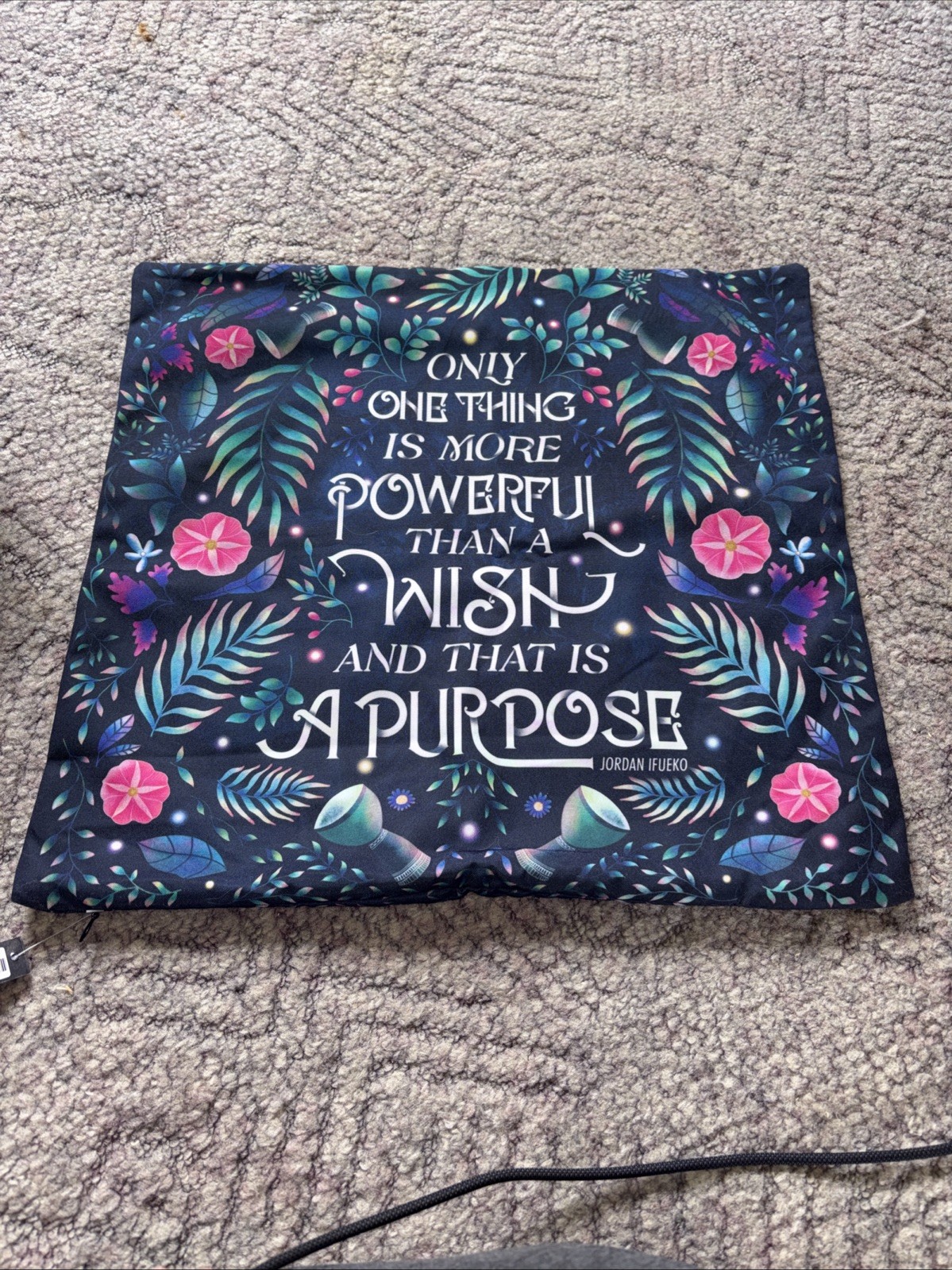 Fairyloot Raybearer Cushion Cover
