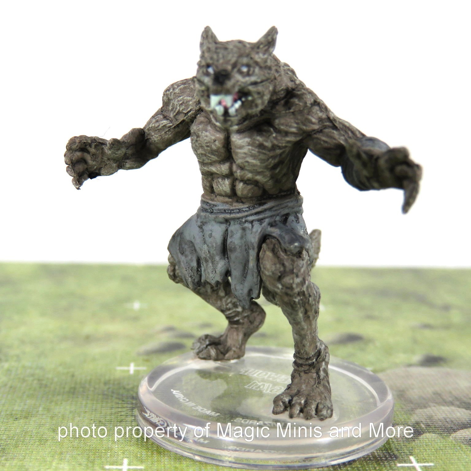 Monster Manual ~ WEREWOLF #16 Icons Realms Collection 1 D&D miniature