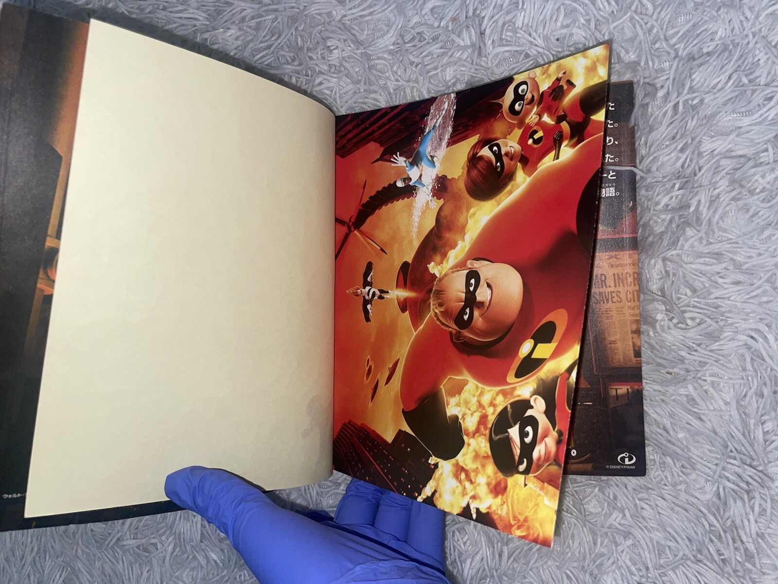 Japanese Movie Brochure