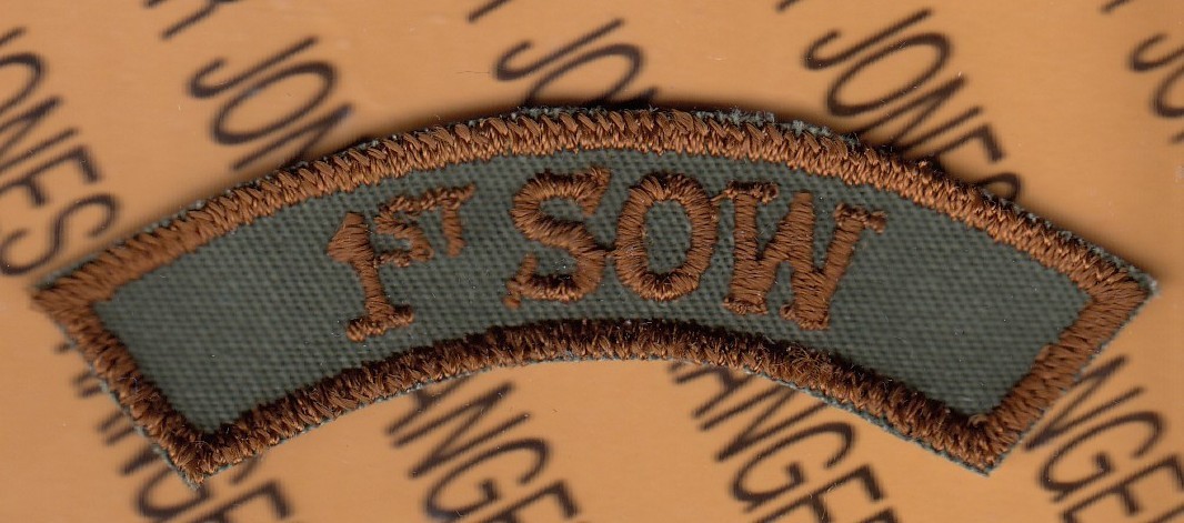 USAF AFSOC 1st Special Operations Wing SOW ~3.5" tab patch c/e