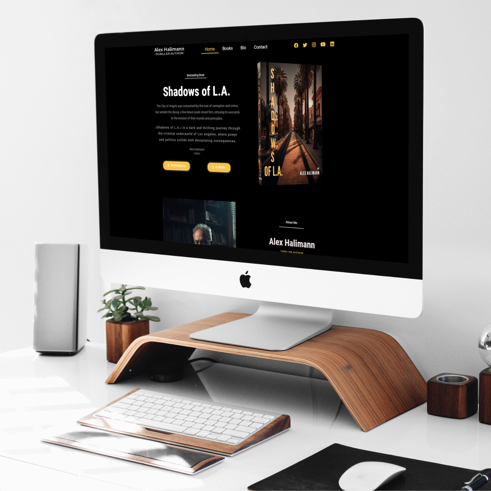 Illustrator Website Design Wordpress Responsive FREE Domain and Hosting SEO