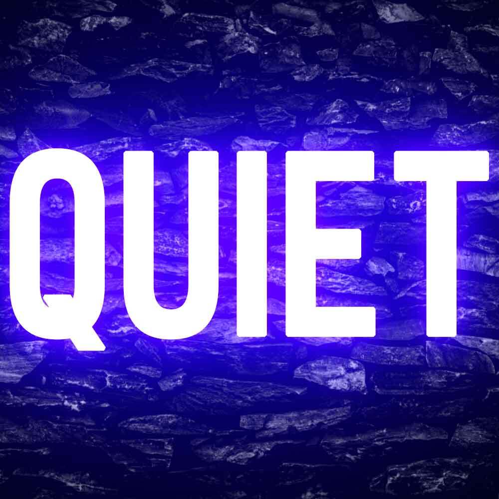 Quiet Please Office Decor Display Flexible Custom Neon Sign