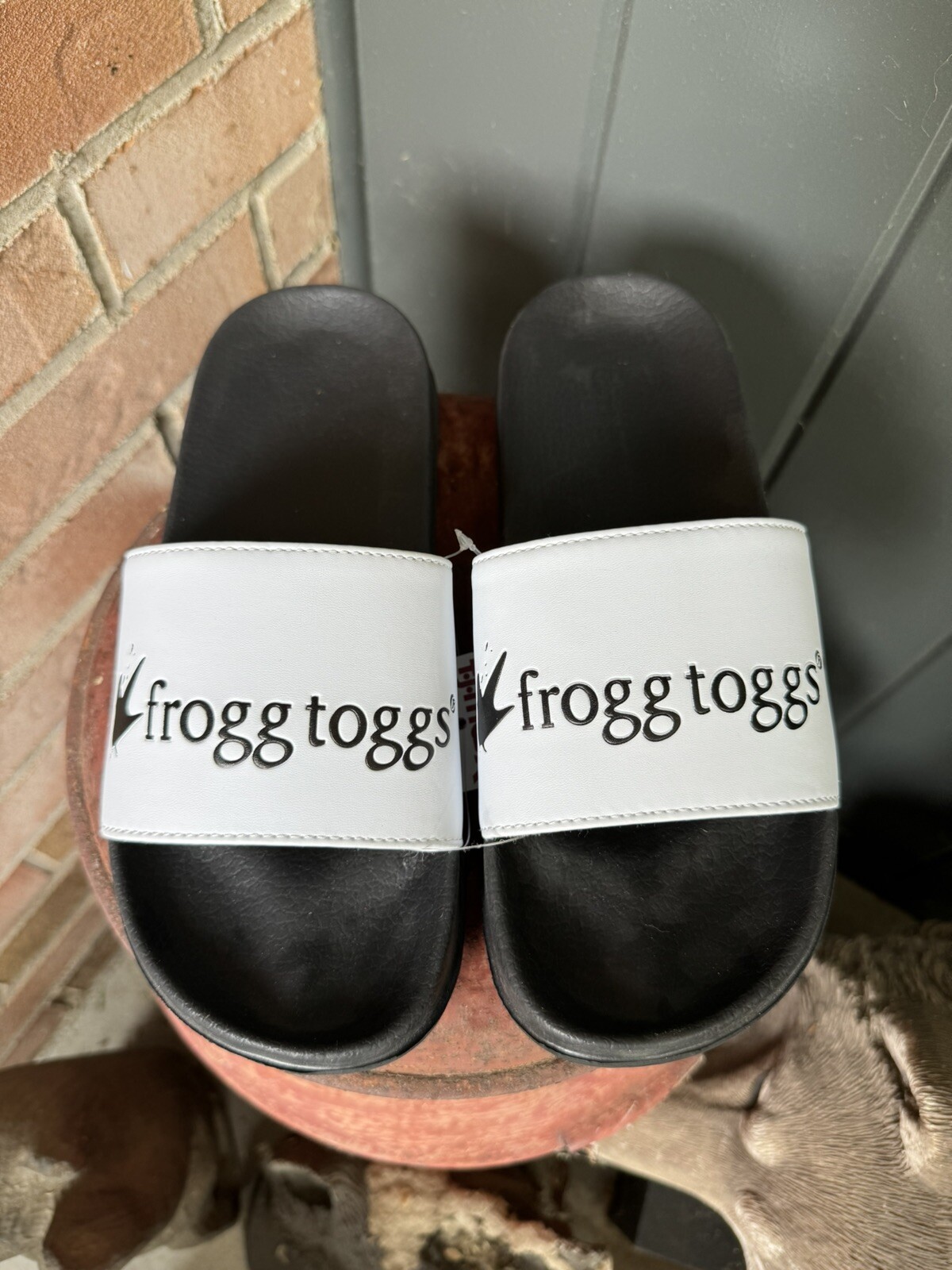FROGG TOGG WHITE SLIDES MENS SIZE 8