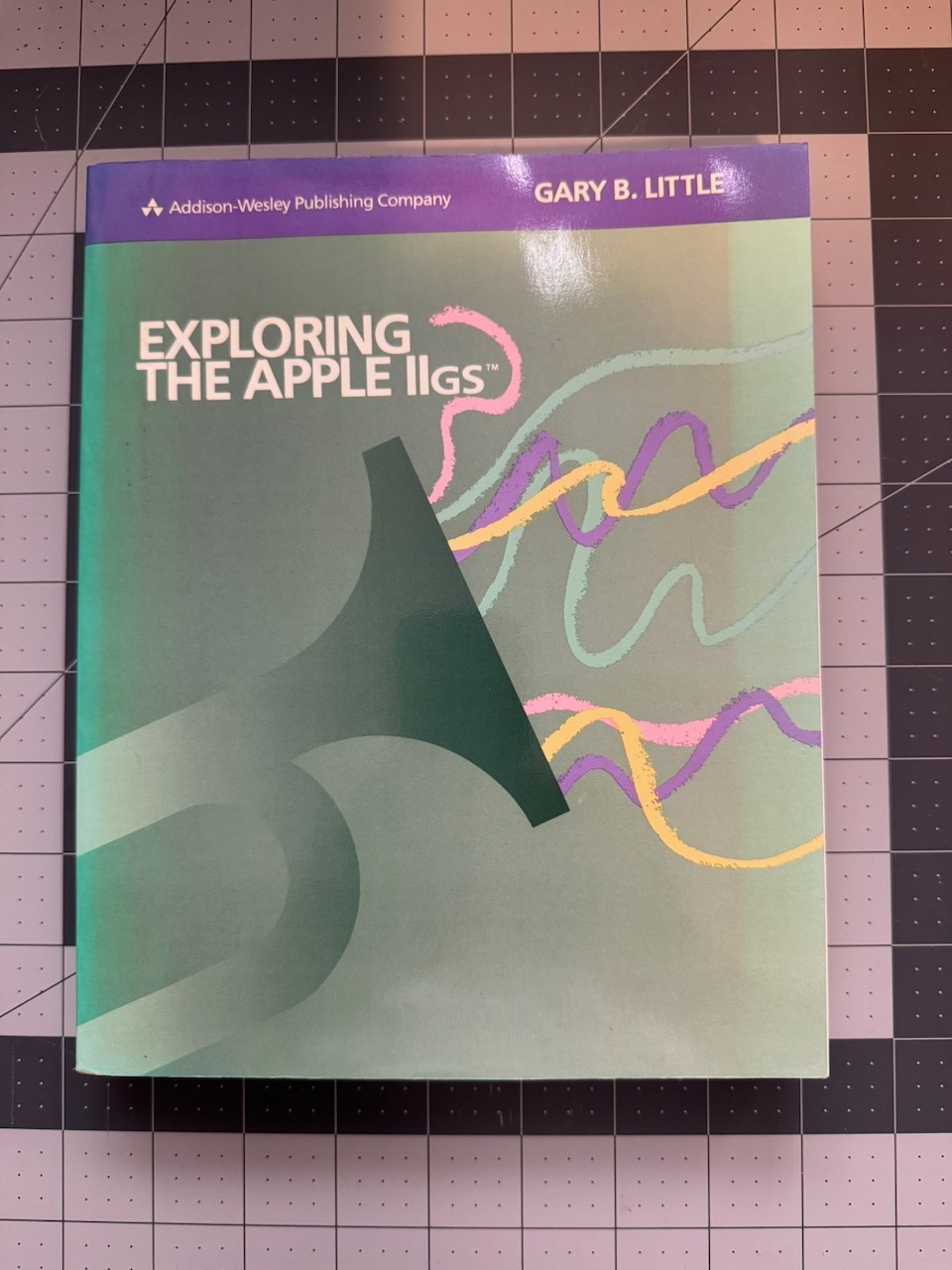 Exploring The Apple IIgs book by Gary B. Little