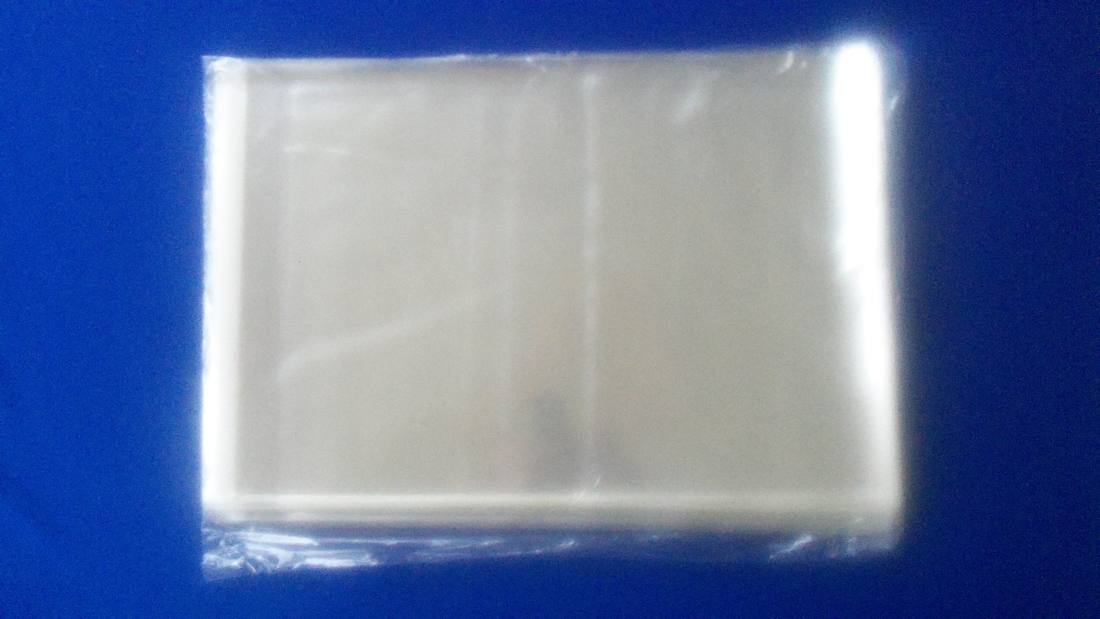 50 Life Magazine Bags Sleeves Plastic Protector Resealable Storage