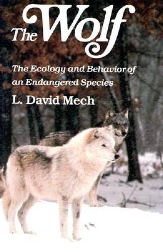 The Wolf: The Ecology and Behavior of an Endangered Species - Paperback - GOOD