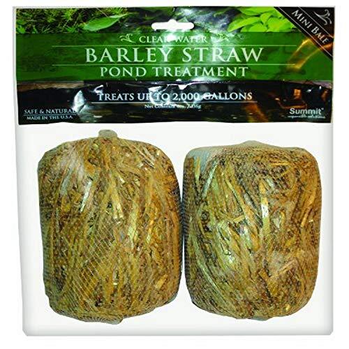 GC - Summit - Barley Straw - Mini Bale Pond Treatment - 2 Count