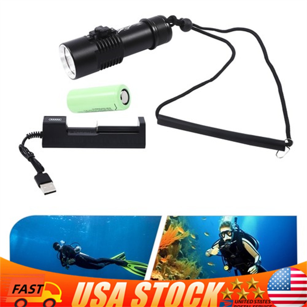 Professional Diving Light LED Waterproof Dive Scuba Lamp Underwater Flashlight