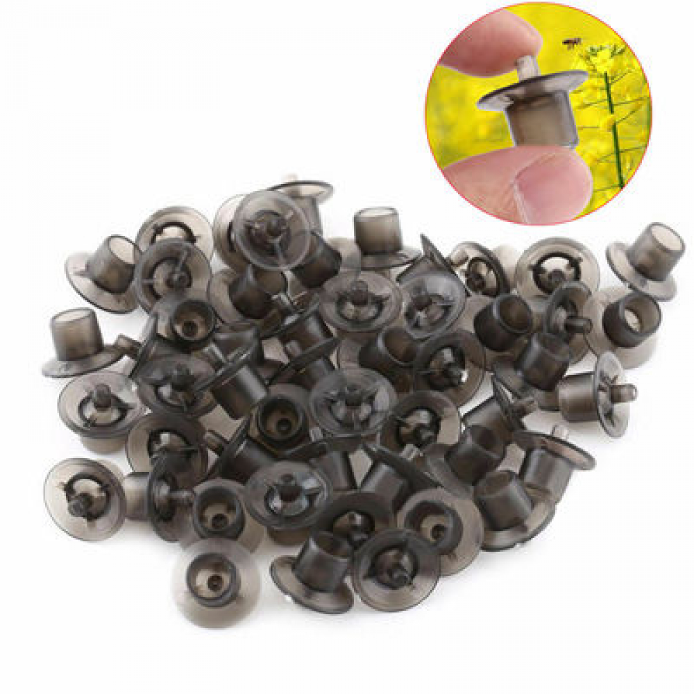50/100PCS Beekeeping Plastic Brown Rearing Queen Bee Tools King Tools Cell